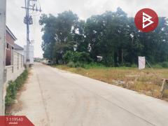 ขายที่ดิน เนื้อที่ 3 ไร่ 3 งาน 88.6 ตร.วา ท่าช้าง จันทบุรี-202508190949531755571793272.jpg