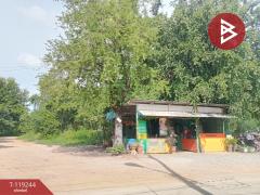 ขายโกดังพร้อมที่ดิน เนื้อที่ 2 ไร่ 2 งาน 99 ตร.วา อุทัยใหม่ อุทัยธานี-202508191051011755575461078.jpg