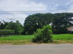 ขาย ที่ดิน โบนันซ่า เขาใหญ่ ต.​ขนงพระ​ อ.ปากช่อง 546 ตรว-202508191100531755576053505.jpg