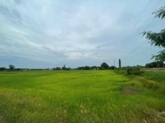 ขายที่ดินเปล่า-ขนาด-24-ไร่-ทำเลทอง-บรร