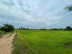 ขายที่ดินเปล่า ขนาด 24 ไร่ ทำเลทอง บรรยากาศร่มรื่น ใกล้แหล่งชุมชน ต.หัวสำโรง ฉะเชิงเทรา-202508191106361755576396653.jpg