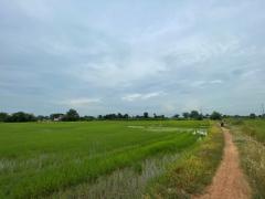 ขายที่ดินเปล่า ขนาด 24 ไร่ ทำเลทอง บรรยากาศร่มรื่น ใกล้แหล่งชุมชน ต.หัวสำโรง ฉะเชิงเทรา-202508191106411755576401945.jpg