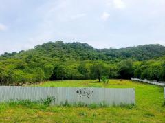 ขาย ที่ดิน เขาใหญ่ ต.​ปากช่อง​  อ.ปากช่อง 792 ตรว ที่ เป็นเนิน เห็นวิว 180 องศา​-202508191107121755576432875.jpg
