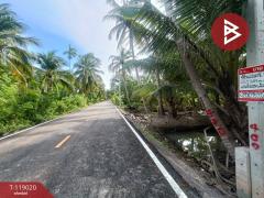 ขายที่ดิน เนื้อที่ 4 ไร่ 2 งาน 49 ตร.วา แหลมใหญ่ สมุทรสงคราม-202508191139101755578350771.jpg