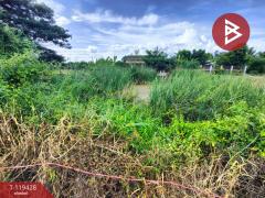 ขายที่ดิน เนื้อที่ 2 งาน สามพราน นครปฐม-202508191151551755579115097.jpg