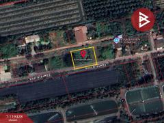 ขายที่ดิน เนื้อที่ 2 งาน สามพราน นครปฐม-202508191151561755579116175.jpg