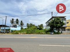 ขายที่ดิน เนื้อที่ 1 งาน 44 ตร.วา บ้านกล้วย สุโขทัย-202508191233121755581592528.jpg