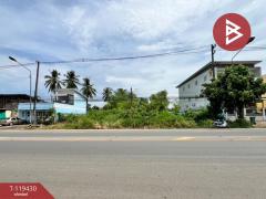 ขายที่ดิน เนื้อที่ 1 งาน 44 ตร.วา บ้านกล้วย สุโขทัย-202508191233131755581593056.jpg
