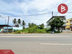 ขายที่ดิน เนื้อที่ 1 งาน 44 ตร.วา บ้านกล้วย สุโขทัย-202508191233131755581593588.jpg