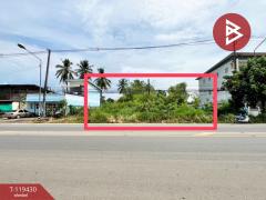 ขายที่ดิน เนื้อที่ 1 งาน 44 ตร.วา บ้านกล้วย สุโขทัย-202508191233141755581594119.jpg