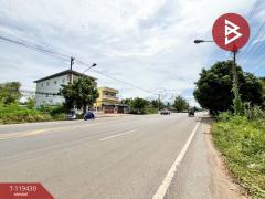 ขายที่ดิน เนื้อที่ 1 งาน 44 ตร.วา บ้านกล้วย สุโขทัย-202508191233151755581595179.jpg