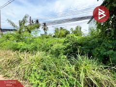 ขายที่ดิน เนื้อที่ 1 งาน 44 ตร.วา บ้านกล้วย สุโขทัย-202508191233151755581595709.jpg