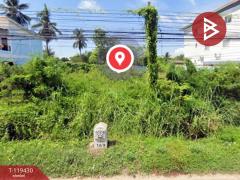 ขายที่ดิน เนื้อที่ 1 งาน 44 ตร.วา บ้านกล้วย สุโขทัย-202508191233161755581596778.jpg