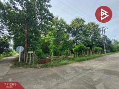 ขายที่ดิน เนื้อที่ 1 ไร่ 39 ตร.วา ลับแล อุตรดิตถ์-202508191310041755583804753.jpg