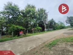ขายที่ดิน เนื้อที่ 1 ไร่ 39 ตร.วา ลับแล อุตรดิตถ์-202508191310051755583805643.jpg