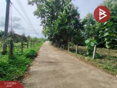 ขายที่ดิน เนื้อที่ 1 ไร่ 39 ตร.วา ลับแล อุตรดิตถ์-202508191310061755583806173.jpg