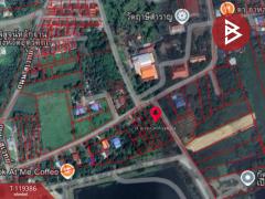 ขายที่ดิน เนื้อที่ 1 ไร่ 39 ตร.วา ลับแล อุตรดิตถ์-202508191310111755583811118.jpg