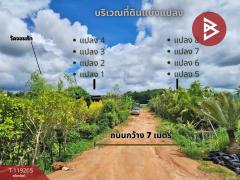 ขายที่ดิน เนื้อที่ 7 ไร่ 58.2 ตร.วา รอบเวียง เชียงราย-202508191622011755595321561.jpg