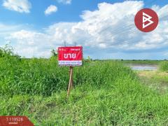 ขายที่ดิน เนื้อที่ 15 ไร่ 3 งาน 41 ตร.วา มีนบุรี กรุงเทพมหานคร-202508191736111755599771110.jpg