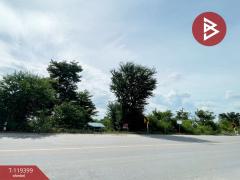 ขายที่ดิน เนื้อที่ 9 ไร่ 13.7 ตร.วา สองพี่น้อง สุพรรณบุรี-202508191757241755601044667.jpg
