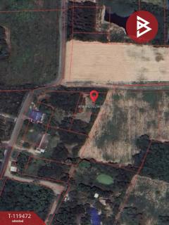 ขายที่ดิน เนื้อที่ 1 งาน 50 ตร.วา พนัสนิคม ชลบุรี-202508191958501755608330488.jpg