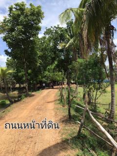 ขายที่ดิน 139 ไร่เศษต.โคกมั่งงอย อ.คอนสวรรค์ไร่ละ 9 หมื่น โฉนด-202508201024571755660297050.jpg