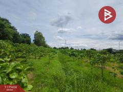 ขายที่ดิน เนื้อที่ 4 ไร่ 3 งาน 72.4 ตร.วา บ้านโป่ง ราชบุรี-202508201052581755661978300.jpg
