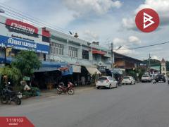  ขายอาคารพาณิชย์ทำเลดีฯ เนื้อที่ 95 ตร.วา วังทอง พิษณุโลก-202508201129531755664193731.jpg