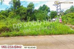 NY-914540 ที่ดินเมืองสระแก้ว 98 ตร.ว. สระแก้ว ใกล้ศาลเจ้ามูลนิธิธรรมสุขศิริ-202508201141571755664917154.jpg