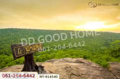 NY-914540 ที่ดินเมืองสระแก้ว 98 ตร.ว. สระแก้ว ใกล้ศาลเจ้ามูลนิธิธรรมสุขศิริ-202508201142001755664920624.jpg