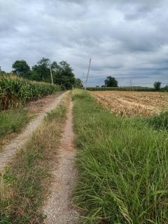 ที่ดิน ขนาด 133 ตรว. วิวเขา น้ำไฟถึง ถนนหน้าแปลง มี 3 ล็อค ครุฑแดง พร้อมโอน-202508201215141755666914055.jpg