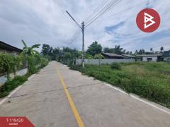 ขายที่ดิน เนื้อที่ 1 งาน 77 ตร.วา สันทราย เชียงใหม่-202508201331291755671489980.jpg