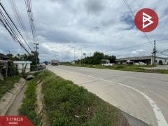 ขายที่ดิน เนื้อที่ 1 งาน 77 ตร.วา สันทราย เชียงใหม่-202508201331311755671491127.jpg