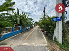 ขายที่ดิน เนื้อที่ 1 งาน 77 ตร.วา สันทราย เชียงใหม่-202508201331321755671492510.jpg