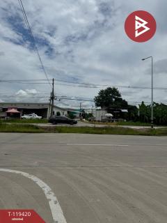 ขายที่ดิน เนื้อที่ 1 งาน 77 ตร.วา สันทราย เชียงใหม่-202508201331331755671493085.jpg