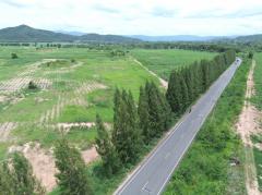 ขาย ที่ดิน เขาใหญ่ ต.​ขนงพระ​​ อ.ปากช่อง 1100 ไร่ ​เห็น ทิวเขา สวยสุดๆ​