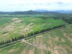 ขาย ที่ดิน เขาใหญ่ ต.​ขนงพระ​​ อ.ปากช่อง 1100 ไร่ ​เห็น ทิวเขา สวยสุดๆ​-202508201349111755672551473.jpg