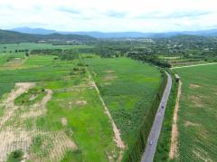 ขาย ที่ดิน เขาใหญ่ ต.​ขนงพระ​​ อ.ปากช่อง 1100 ไร่ ​เห็น ทิวเขา สวยสุดๆ​-202508201349131755672553885.jpg