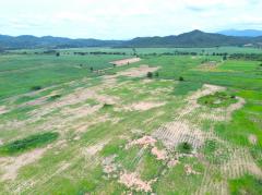 ขาย ที่ดิน เขาใหญ่ ต.​ขนงพระ​​ อ.ปากช่อง 1100 ไร่ ​เห็น ทิวเขา สวยสุดๆ​-202508201349141755672554505.jpg