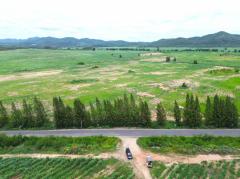 ขาย ที่ดิน เขาใหญ่ ต.​ขนงพระ​​ อ.ปากช่อง 1100 ไร่ ​เห็น ทิวเขา สวยสุดๆ​-202508201349151755672555074.jpg