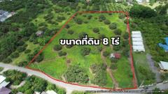 ขายที่ดิน 8 ไร่ บ้านสันกลาง ดอนแก้ว สารภี เชียงใหม่
