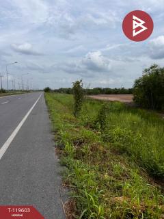 ขายที่ดิน เนื้อที่ 2 ไร่ องครักษ์ นครนายก-202508201602521755680572401.jpg