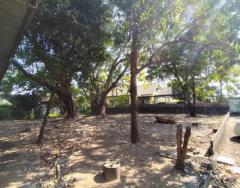 ขายและให้เช่าที่ดินถนนปูเจ้า ขนาดที่ดิน 600 ตารางวา-202508201658411755683921124.jpg