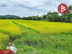 ขายด่วนที่ดิน เนื้อที่ 4 ไร่ หันคา ชัยนาท-202508211050051755748205192.jpg