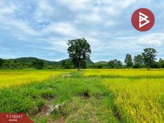ขายด่วนที่ดิน เนื้อที่ 4 ไร่ หันคา ชัยนาท-202508211050061755748206501.jpg