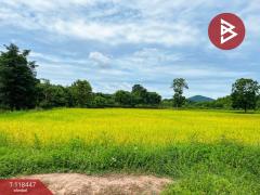ขายด่วนที่ดิน เนื้อที่ 4 ไร่ หันคา ชัยนาท-202508211050071755748207420.jpg