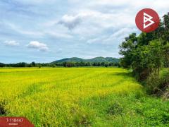 ขายด่วนที่ดิน เนื้อที่ 4 ไร่ หันคา ชัยนาท-202508211050081755748208478.jpg
