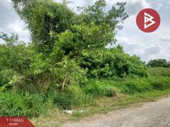 ขายที่ดิน เนื้อที่ 90 ตร.วา หนองจอก กรุงเทพมหานคร-202508211050091755748209009.jpg