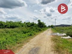 ขายที่ดิน เนื้อที่ 90 ตร.วา หนองจอก กรุงเทพมหานคร-202508211050101755748210097.jpg