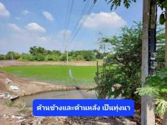 ขายบ้านเดี่ยว 2 ชั้น ตามสภาพ เนื้อที่ 203 ตร.ว. บ้านหันหน้าทิศเหนือ ใกล้ตัวเมือง ใกล้วัดเจดีย์หอย ลาดบัวหลวง พระนครศรีอยุธยา-202508211103201755749000784.jpg